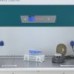 Biohazard Safety Cabinet, Class II Type A2 Ultraviolet Output: 13.4 W  JSCB 1200SB JSR South Korea